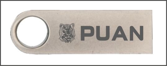 PUAN USB BELLEK 32 GB